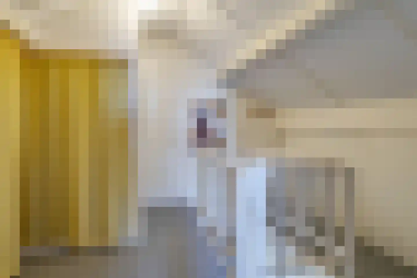Vooskerbos 24 Moergestel thumbnail 24