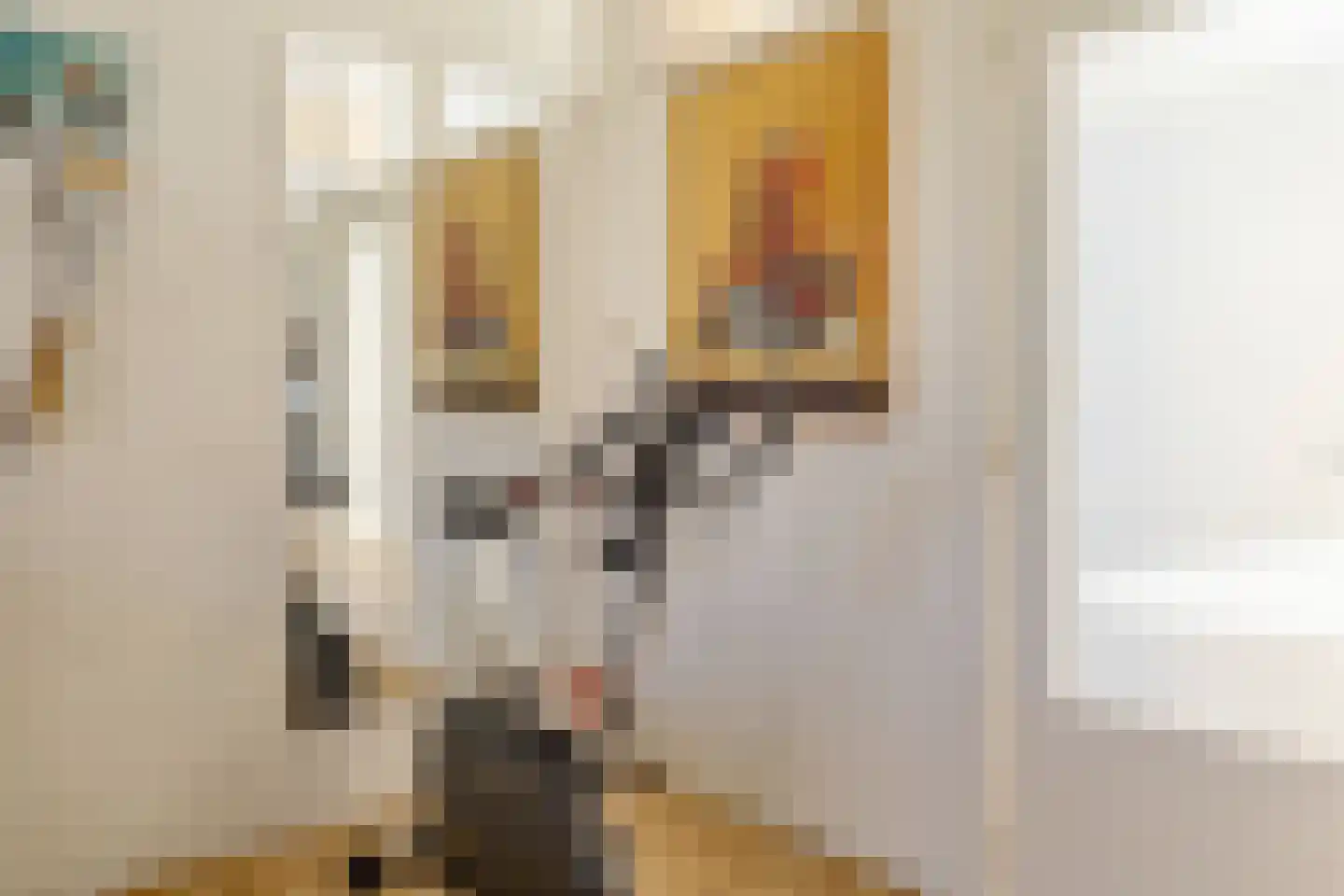 Vooskerbos 24 Moergestel thumbnail 33