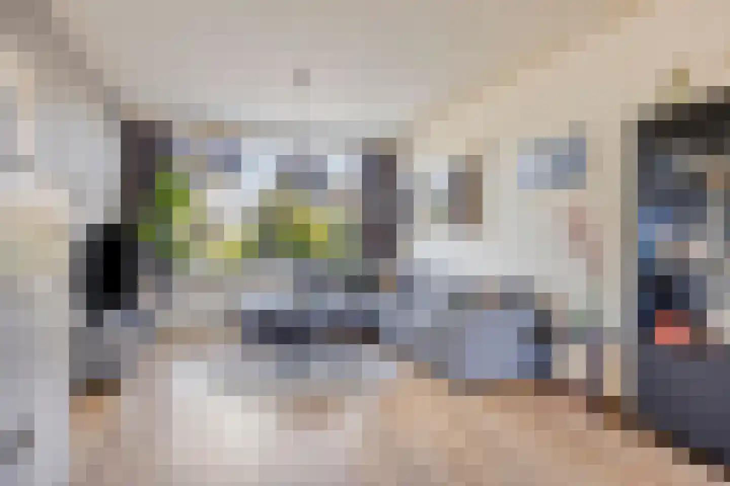 Vooskerbos 25 Moergestel thumbnail 10