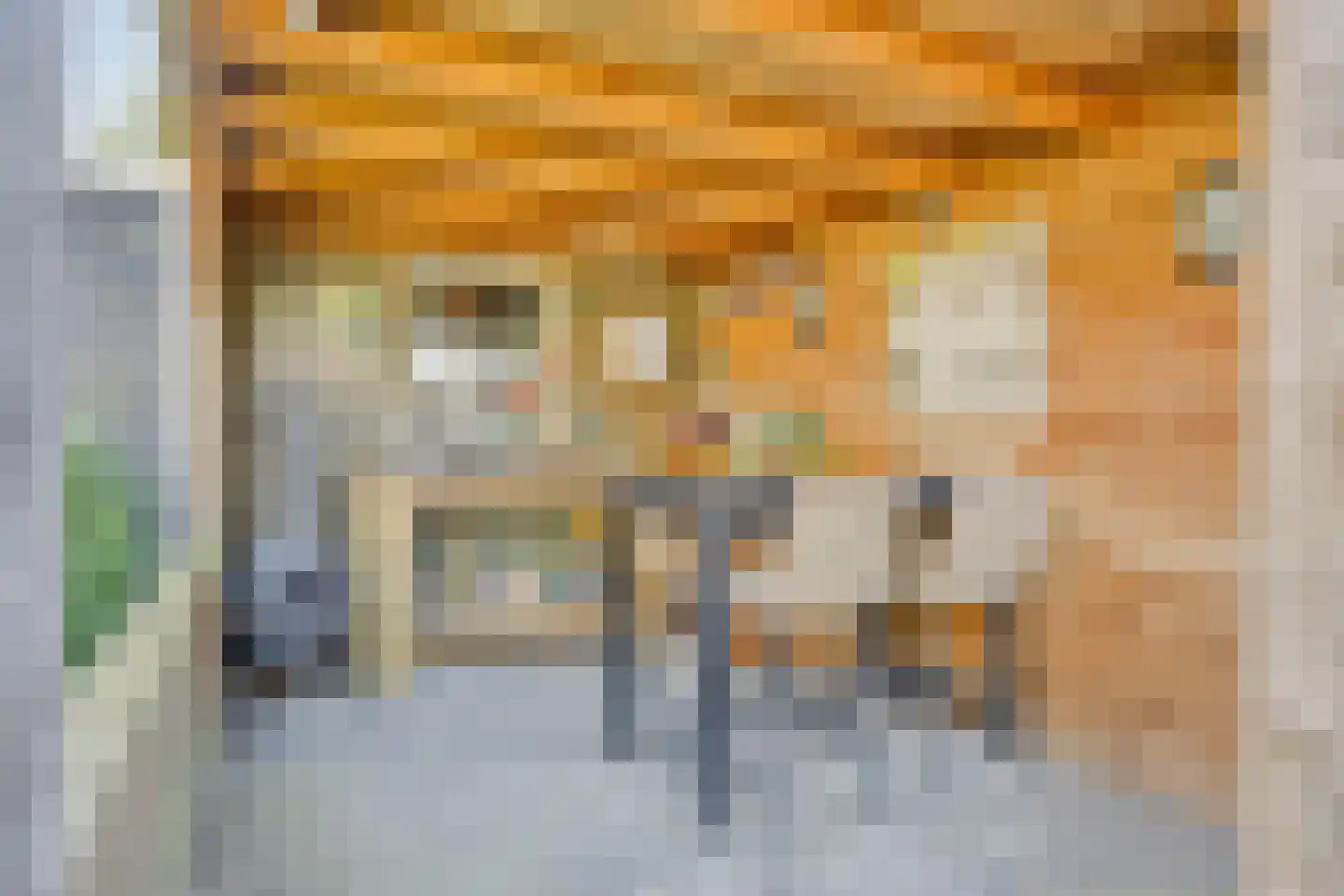 Vooskerbos 25 Moergestel thumbnail 29