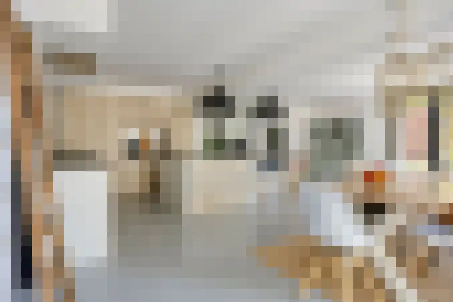 Vooskerbos 42 Moergestel thumbnail 12