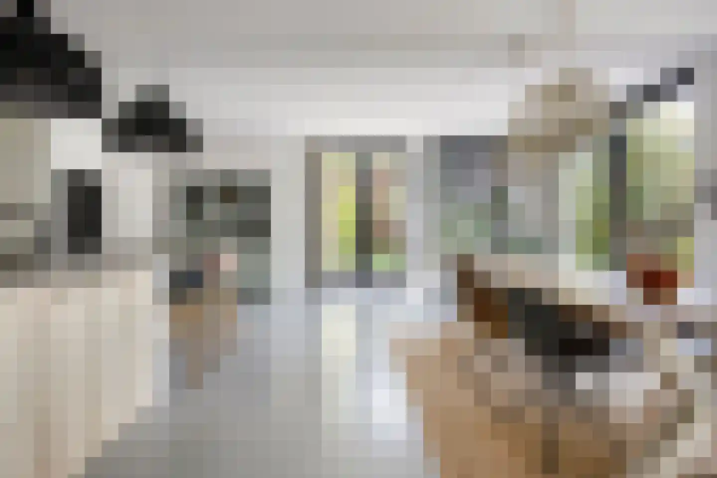 Vooskerbos 42 Moergestel thumbnail 13