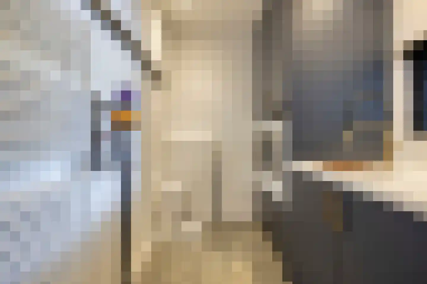 Vooskerbos 42 Moergestel thumbnail 28