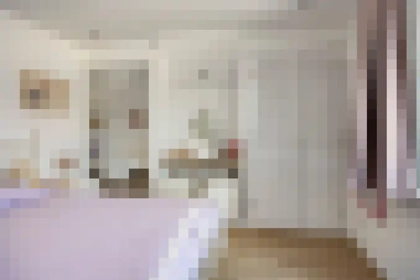 Vooskerbos 42 Moergestel thumbnail 38