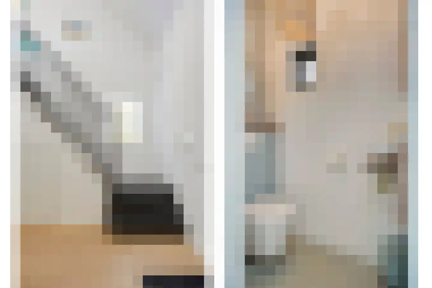 Vooskerbos 42 Moergestel thumbnail 4