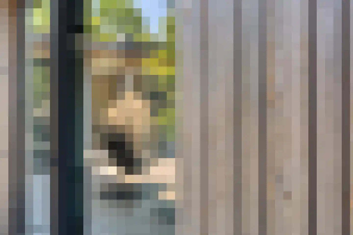 Vooskerbos 42 Moergestel thumbnail 52