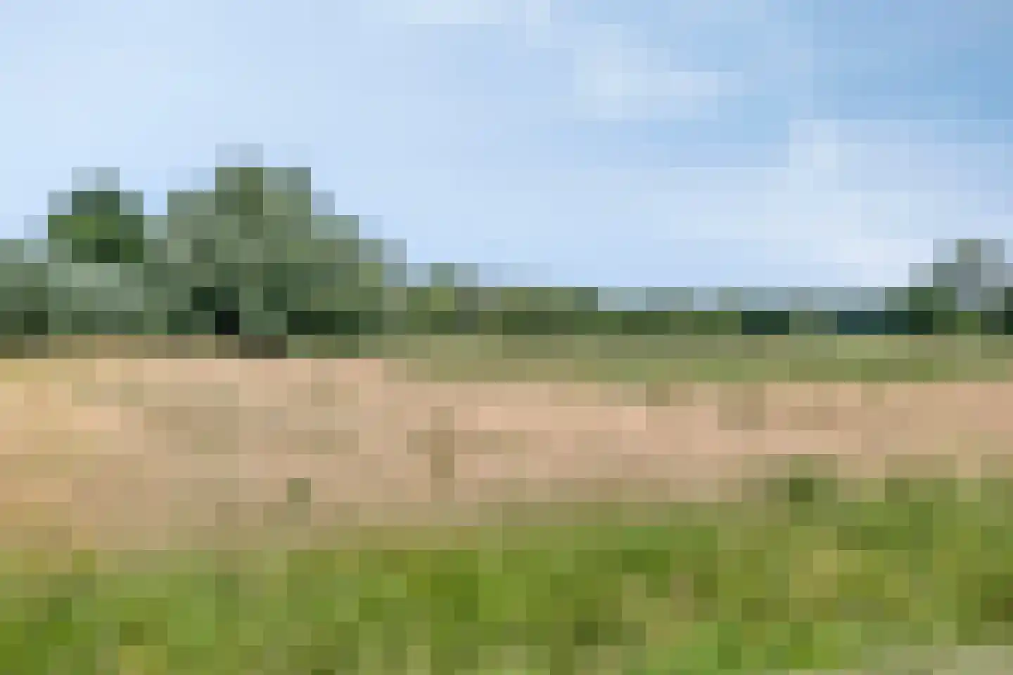 Vooskerbos 42 Moergestel thumbnail 61