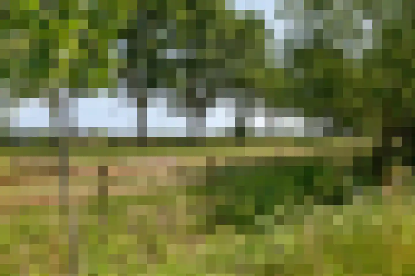 Vooskerbos 42 Moergestel thumbnail 63