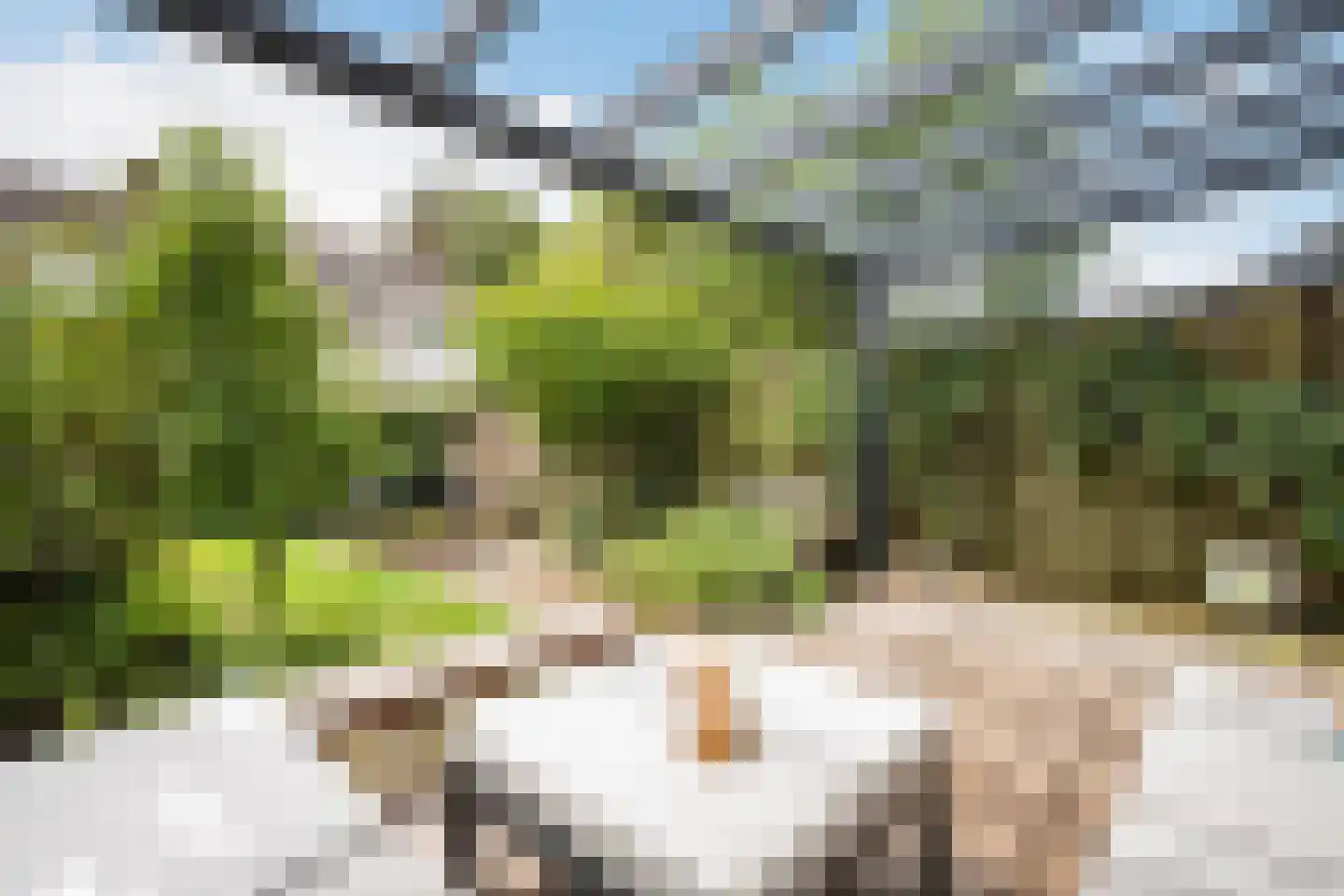 Vordensebeek 112 Zwolle thumbnail 13