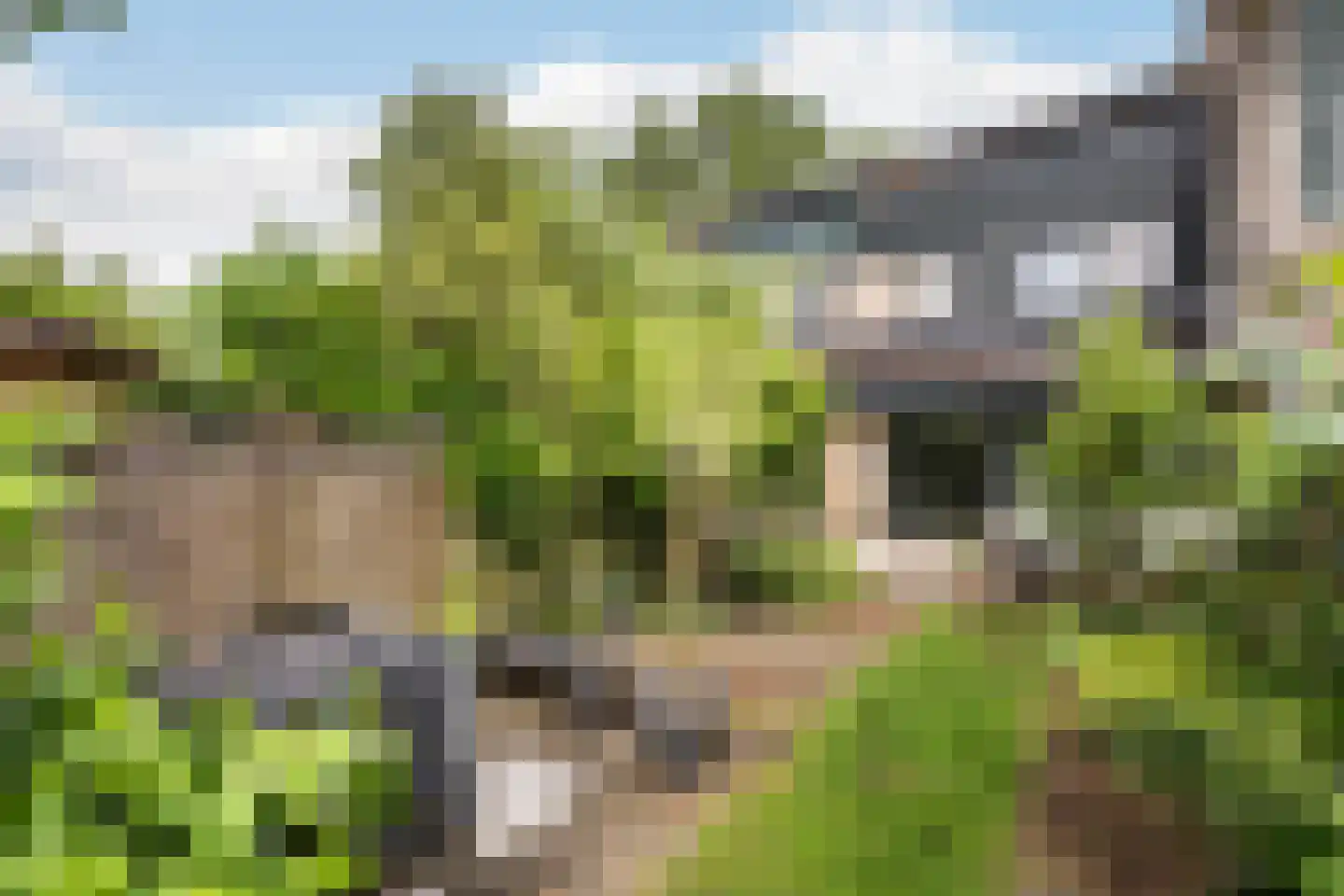 Vordensebeek 112 Zwolle thumbnail 14