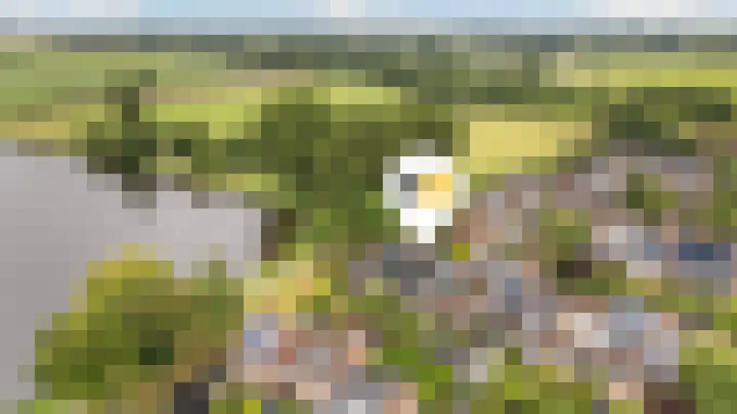 Vordensebeek 112 Zwolle thumbnail 4