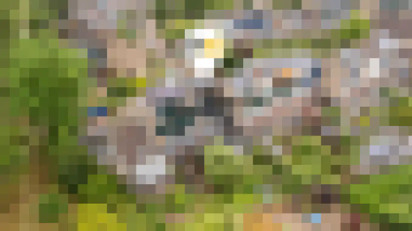 Vordensebeek 112 Zwolle thumbnail 6