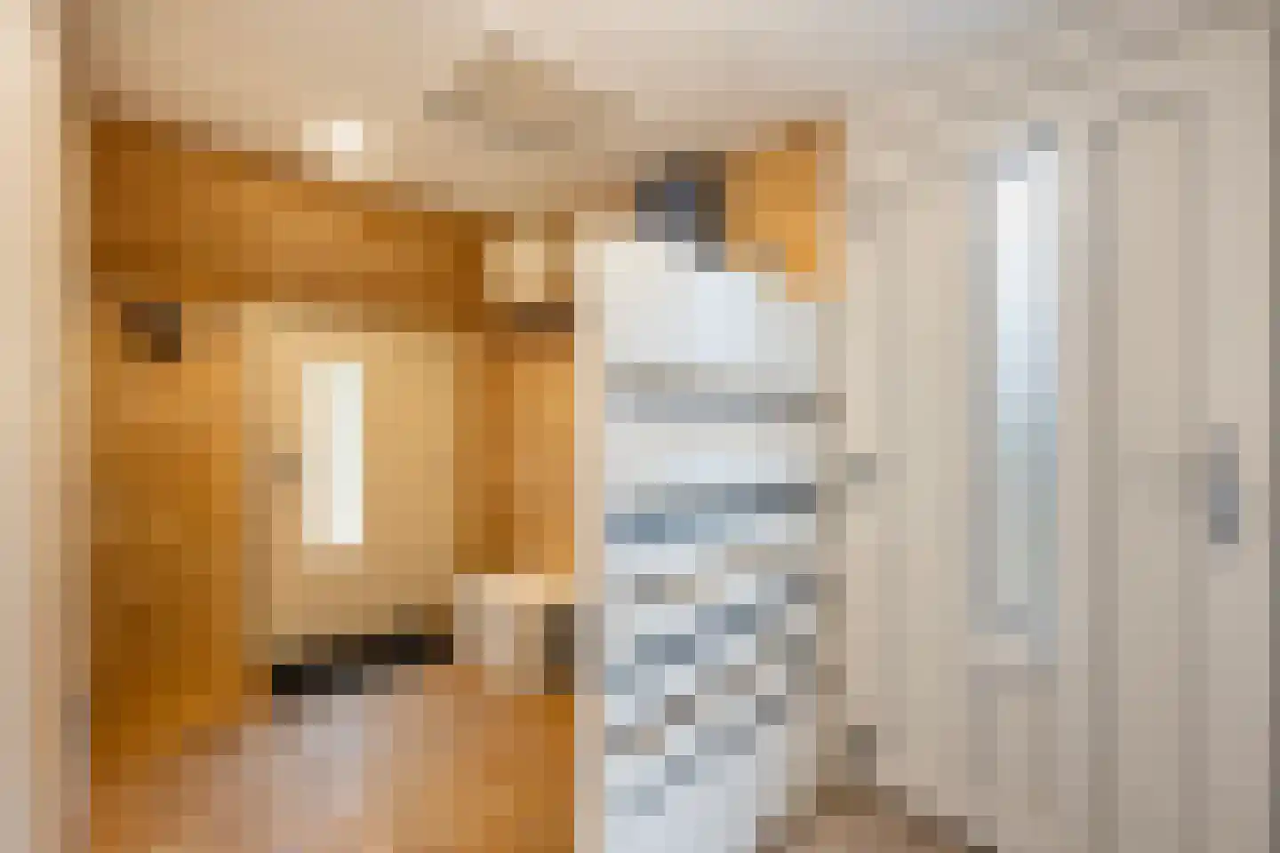 Vordensebeek 112 Zwolle thumbnail 8