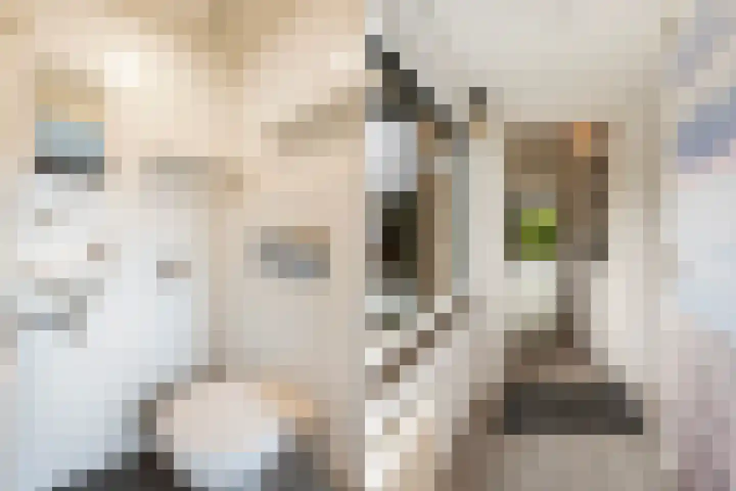 Vordensebeek 112 Zwolle thumbnail 9