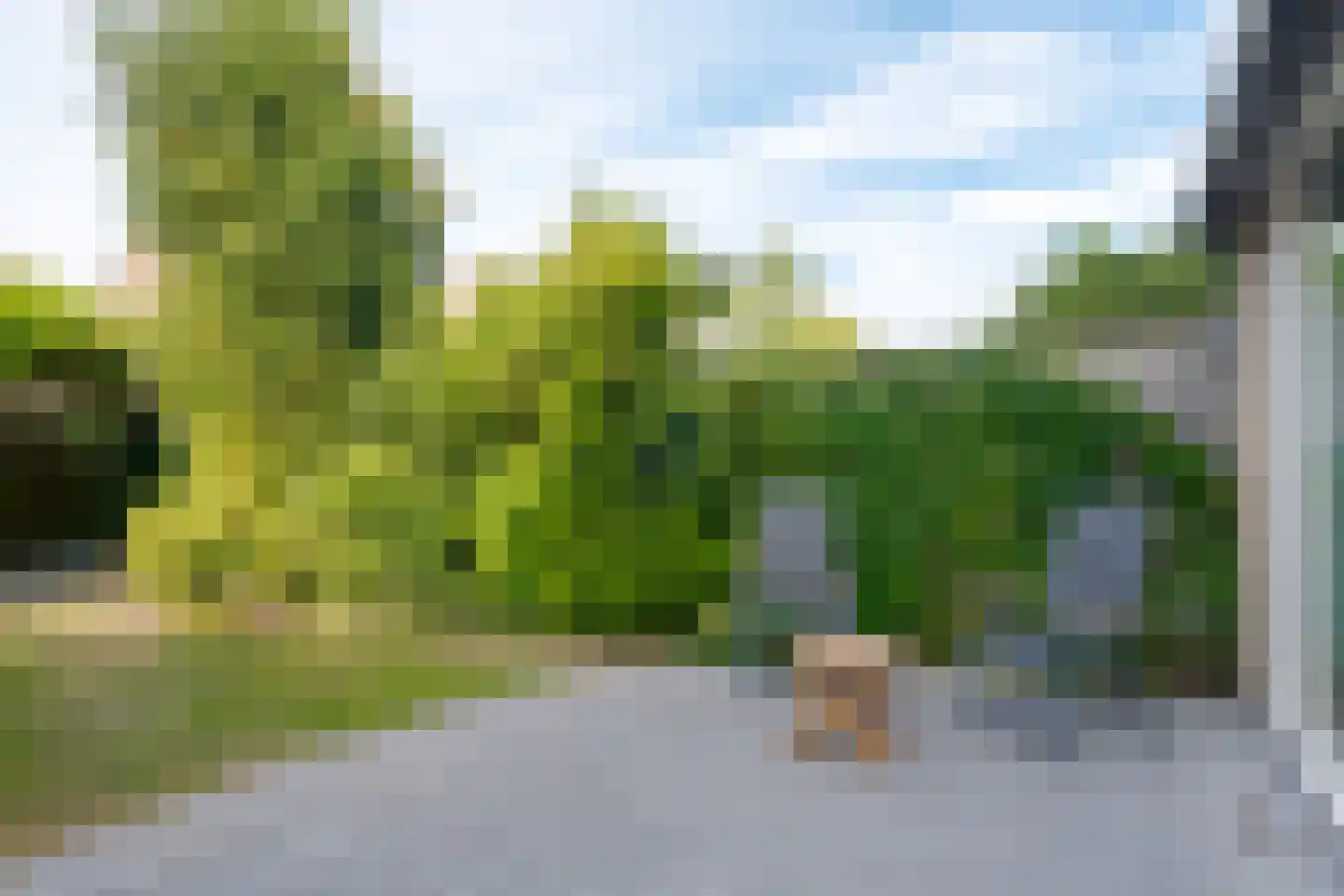 Vordensebeek 120 Zwolle thumbnail 25
