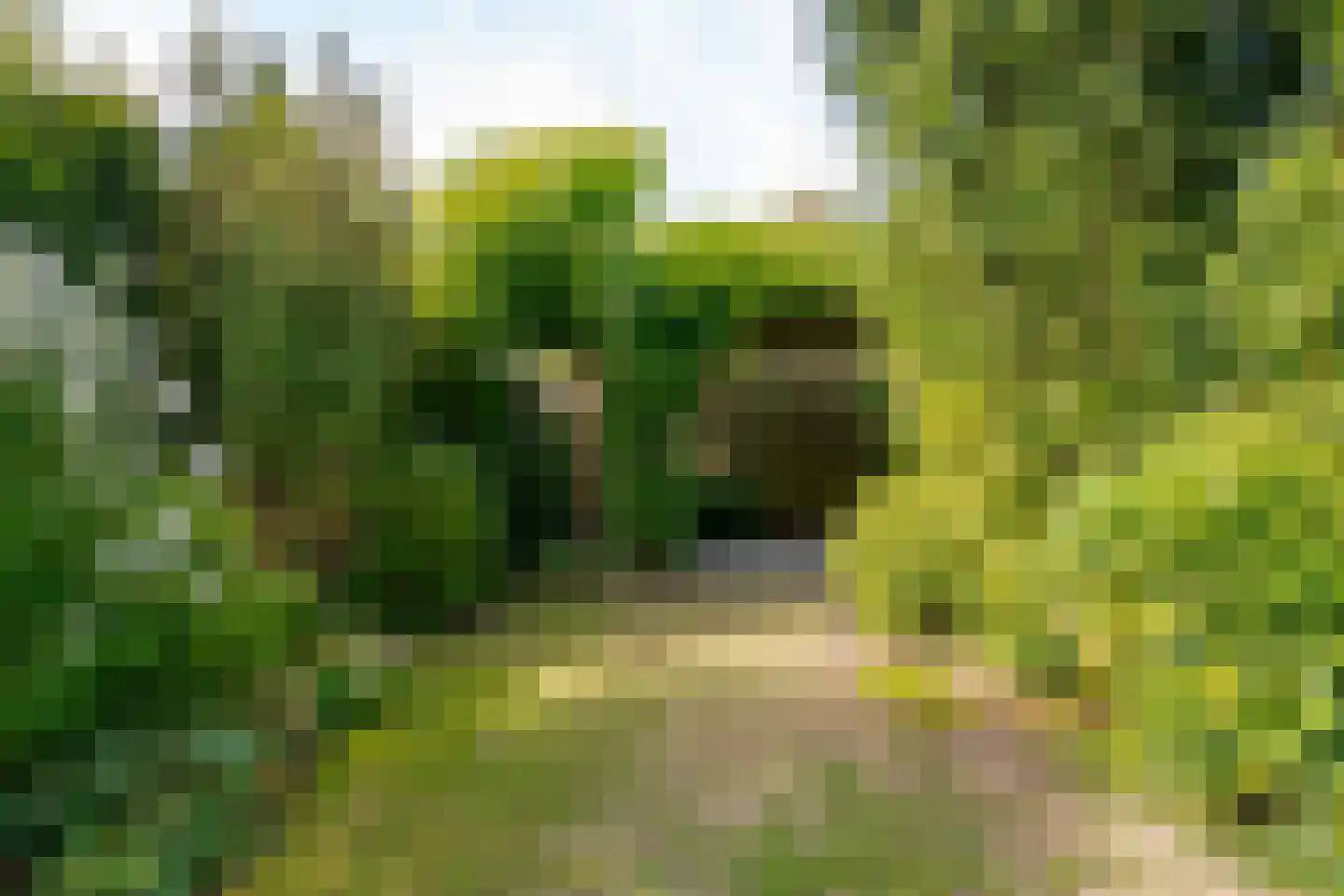 Vordensebeek 120 Zwolle thumbnail 26