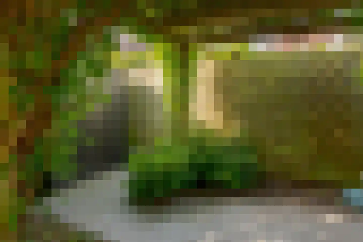 Vordensebeek 120 Zwolle thumbnail 29