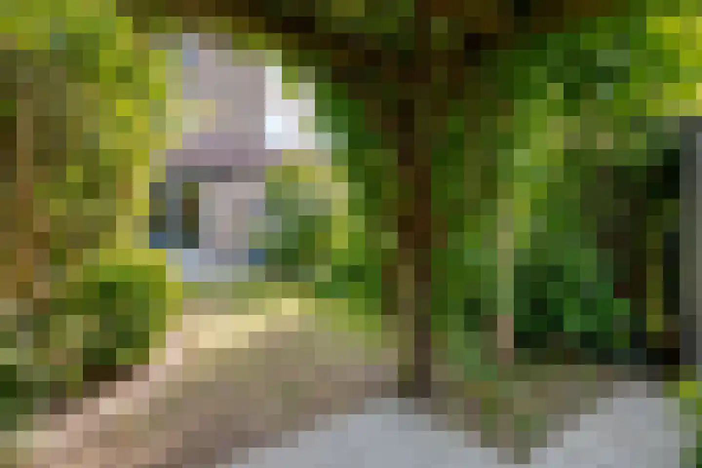 Vordensebeek 120 Zwolle thumbnail 30