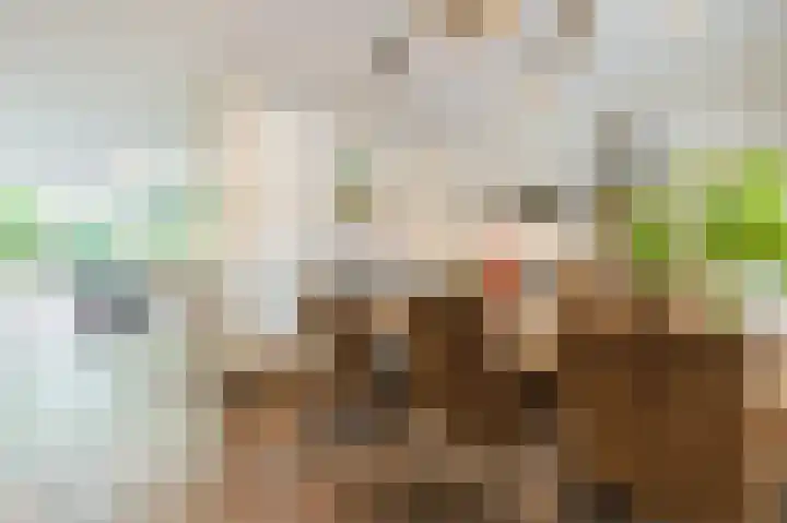 Vordensebeek 17 Zwolle thumbnail 12