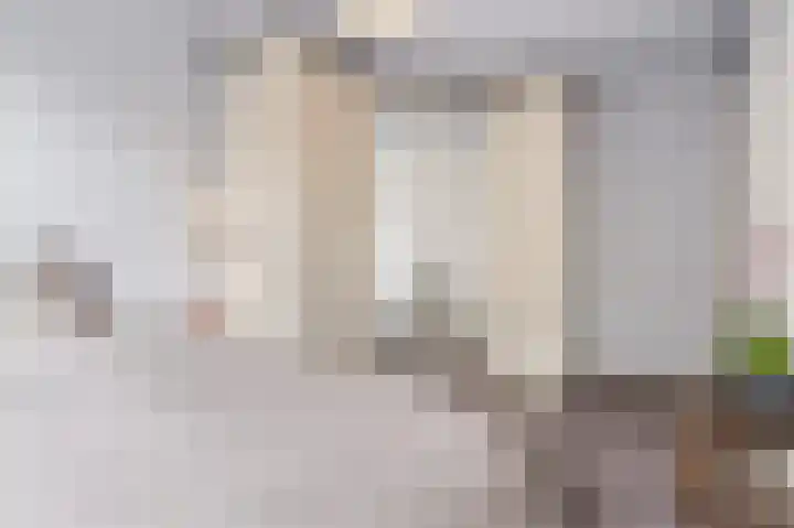Vordensebeek 17 Zwolle thumbnail 18