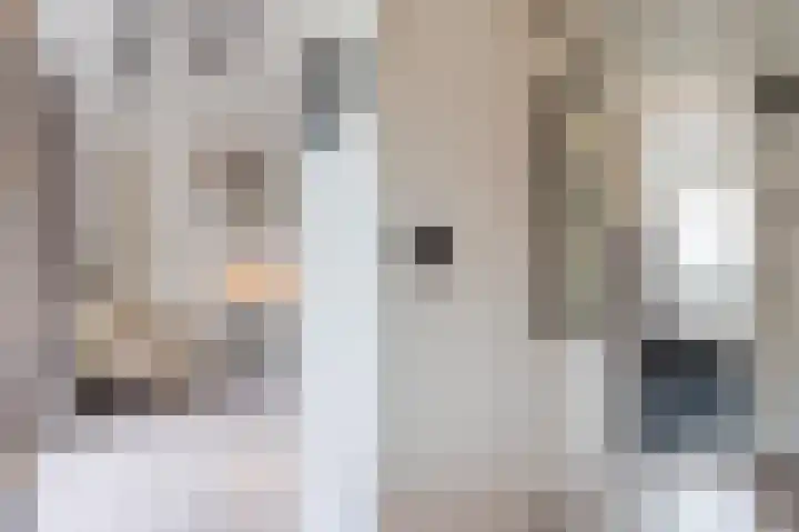 Vordensebeek 17 Zwolle thumbnail 33