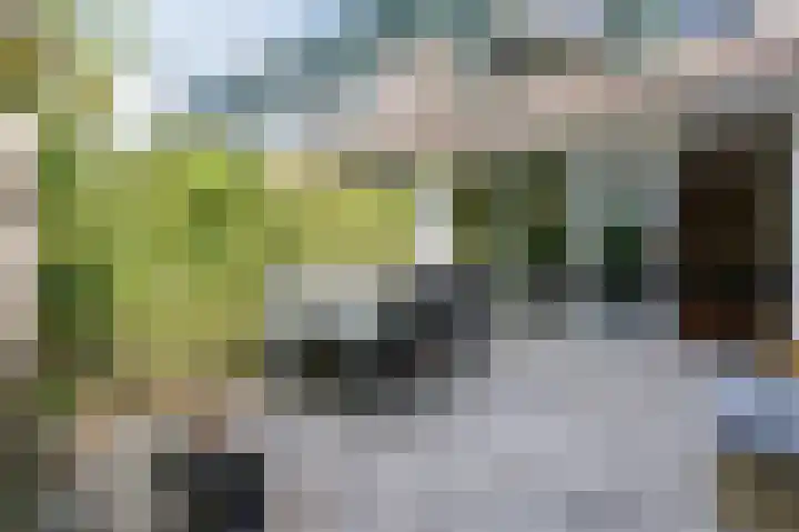 Vordensebeek 17 Zwolle thumbnail 37