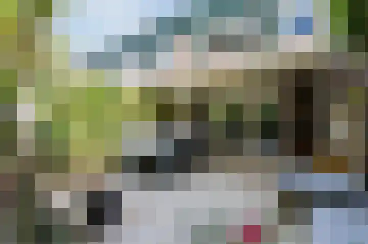 Vordensebeek 17 Zwolle thumbnail 38