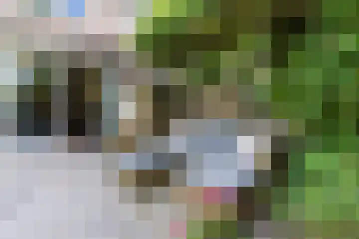 Vordensebeek 17 Zwolle thumbnail 39