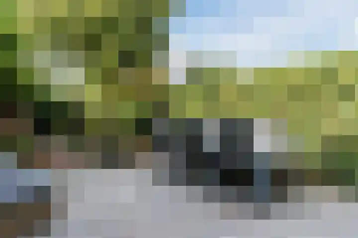 Vordensebeek 17 Zwolle thumbnail 41