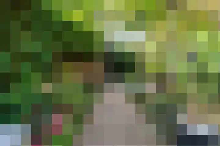 Vordensebeek 17 Zwolle thumbnail 42