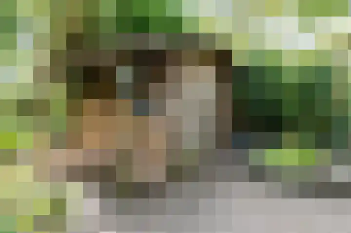 Vordensebeek 17 Zwolle thumbnail 43