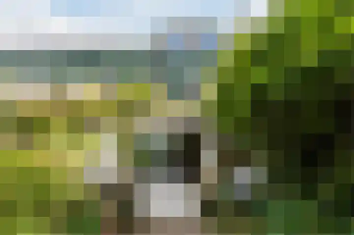 Vordensebeek 17 Zwolle thumbnail 44