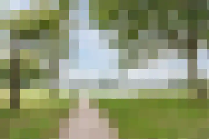 Vordensebeek 17 Zwolle thumbnail 48