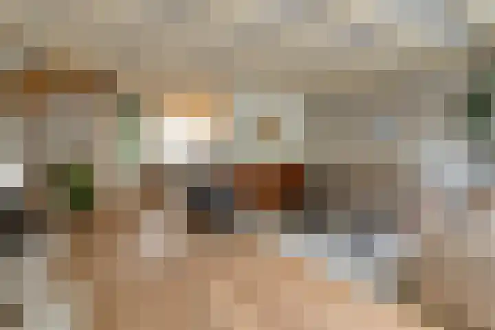 Vordensebeek 30 Zwolle thumbnail 11