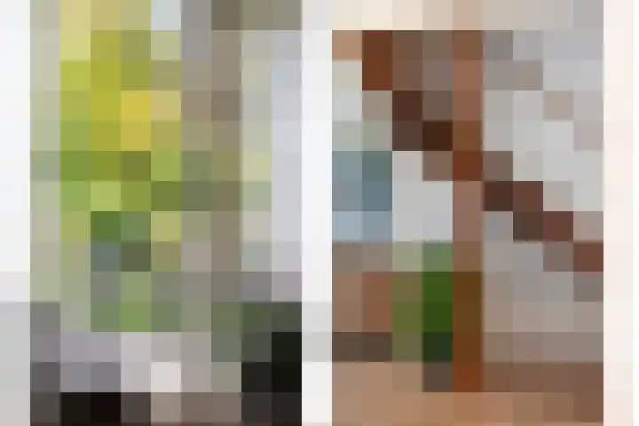 Vordensebeek 30 Zwolle thumbnail 12