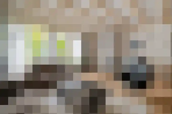 Vordensebeek 30 Zwolle thumbnail 13