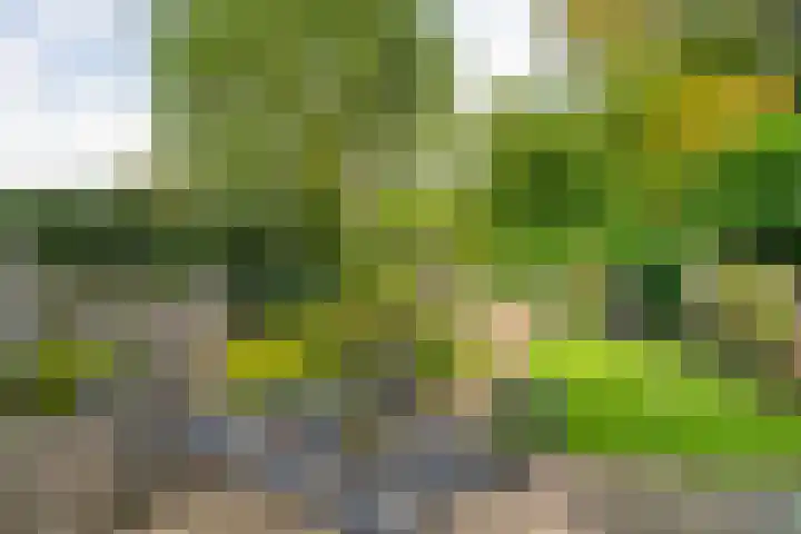 Vordensebeek 30 Zwolle thumbnail 30