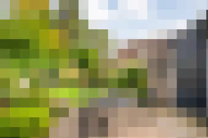 Vordensebeek 30 Zwolle thumbnail 31