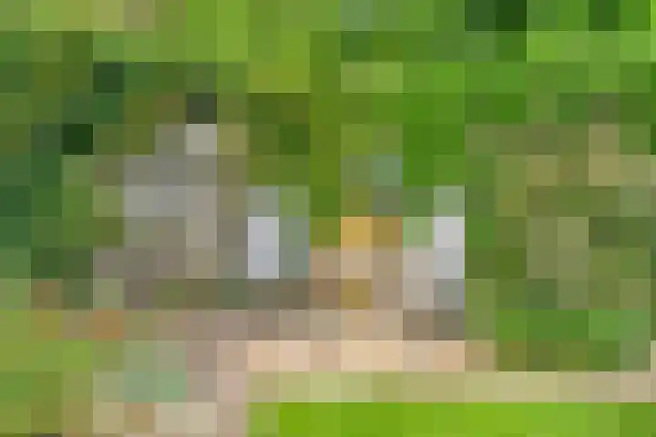 Vordensebeek 30 Zwolle thumbnail 32
