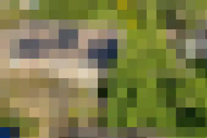 Vordensebeek 30 Zwolle thumbnail 33