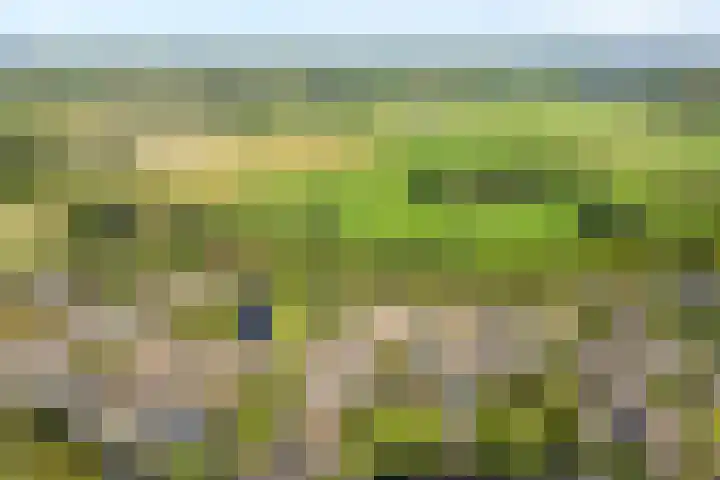 Vordensebeek 30 Zwolle thumbnail 34