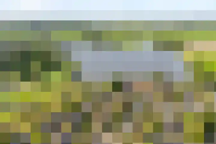 Vordensebeek 30 Zwolle thumbnail 35