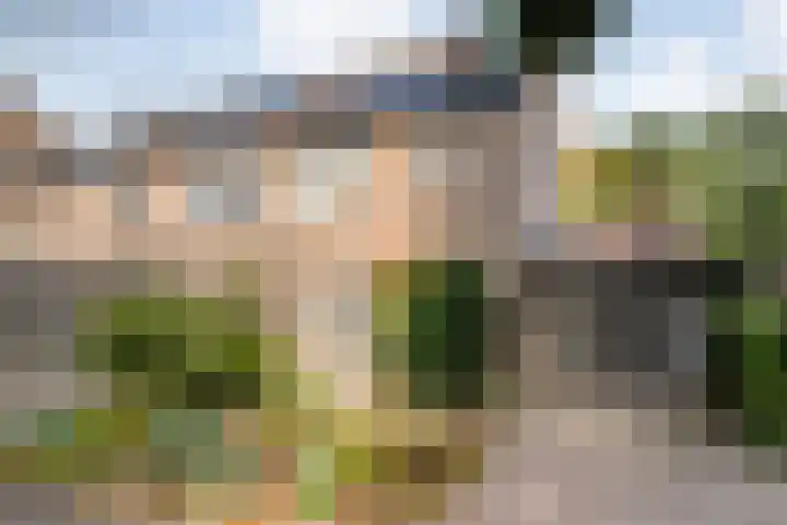 Vordensebeek 30 Zwolle thumbnail 4