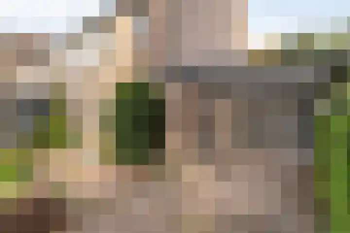 Vordensebeek 30 Zwolle thumbnail 6