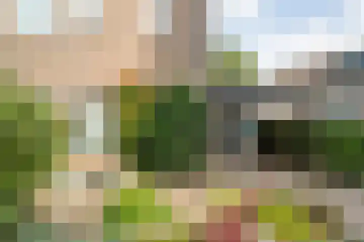 Vordensebeek 30 Zwolle thumbnail 8