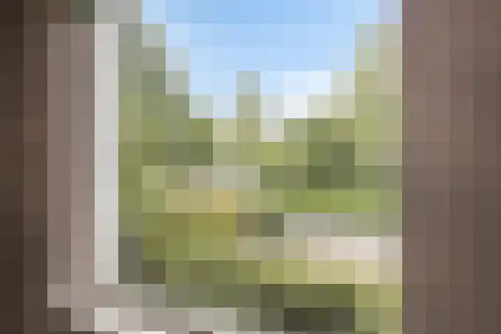 Vordensebinnenweg 53 Warnsveld thumbnail 13