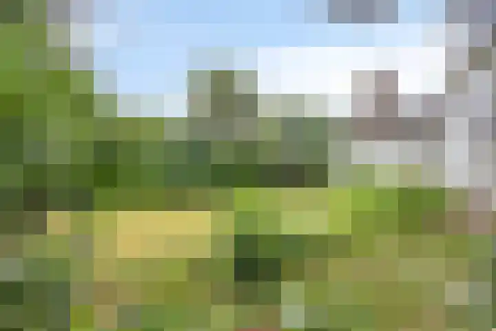 Vordensebinnenweg 53 Warnsveld thumbnail 27