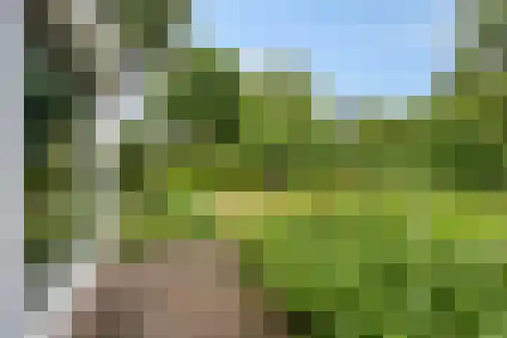 Vordensebinnenweg 53 Warnsveld thumbnail 28