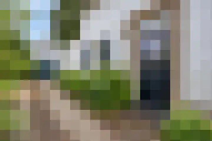 Vordensebinnenweg 53 Warnsveld thumbnail 29