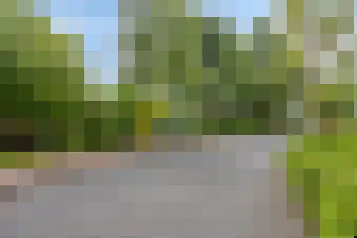 Vordensebinnenweg 53 Warnsveld thumbnail 34